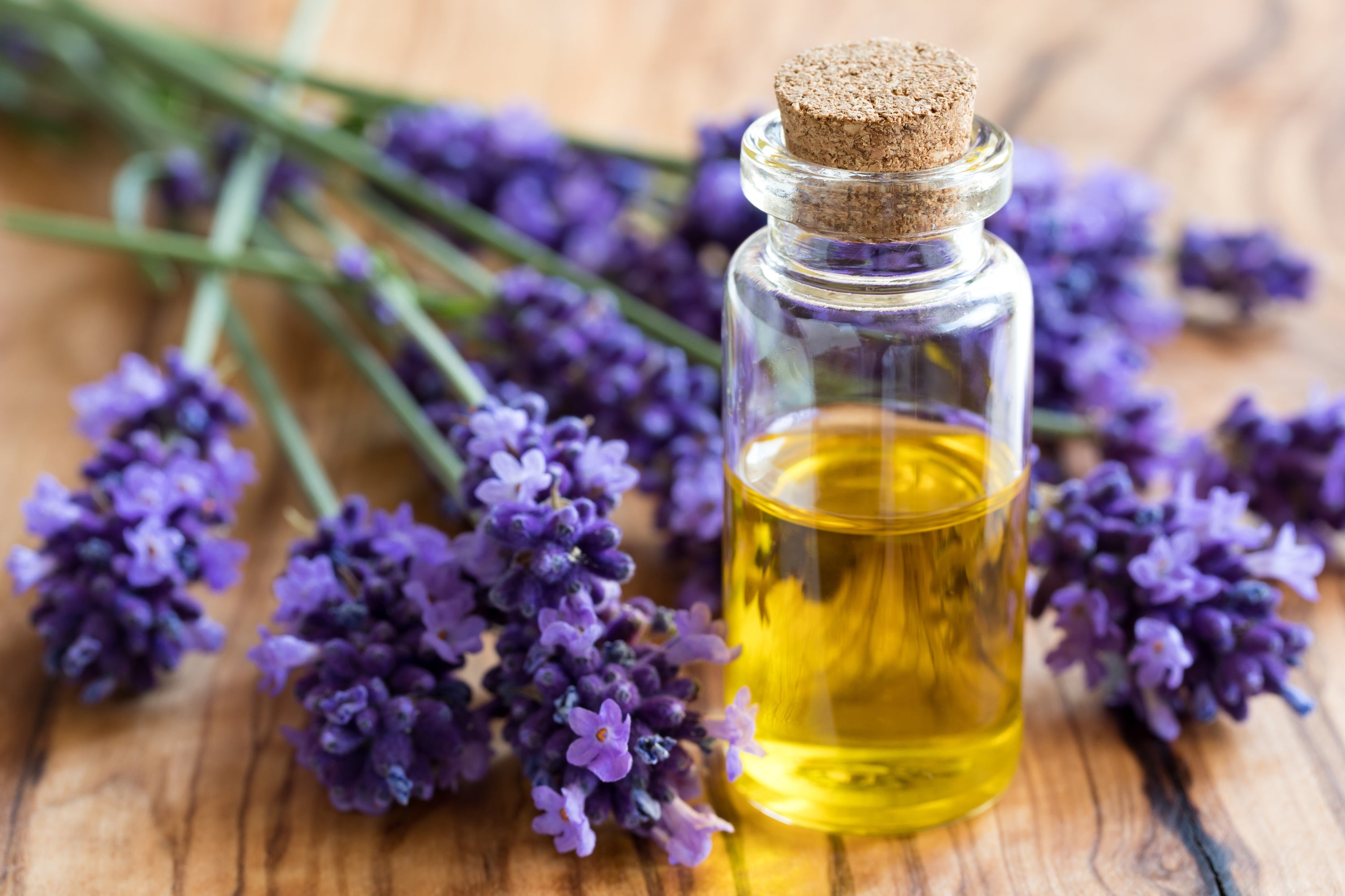 Lavender Oil