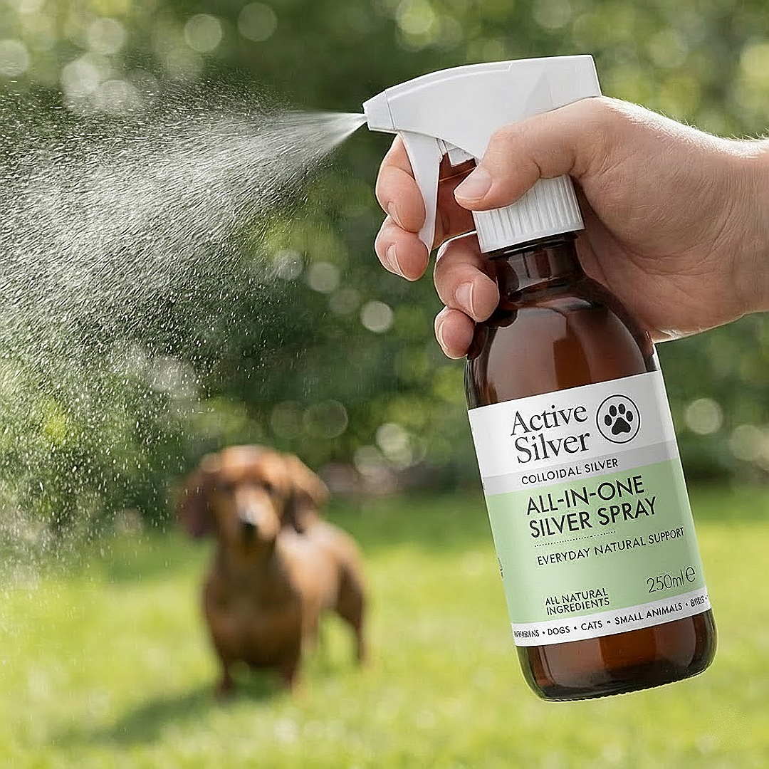 All-in-One Silver Spray for Pets
