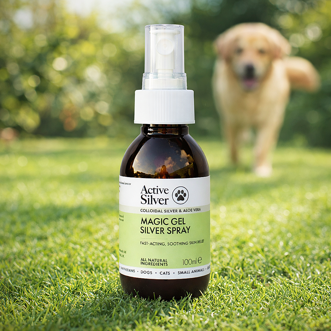 Magic Gel Silver Spray for Pets