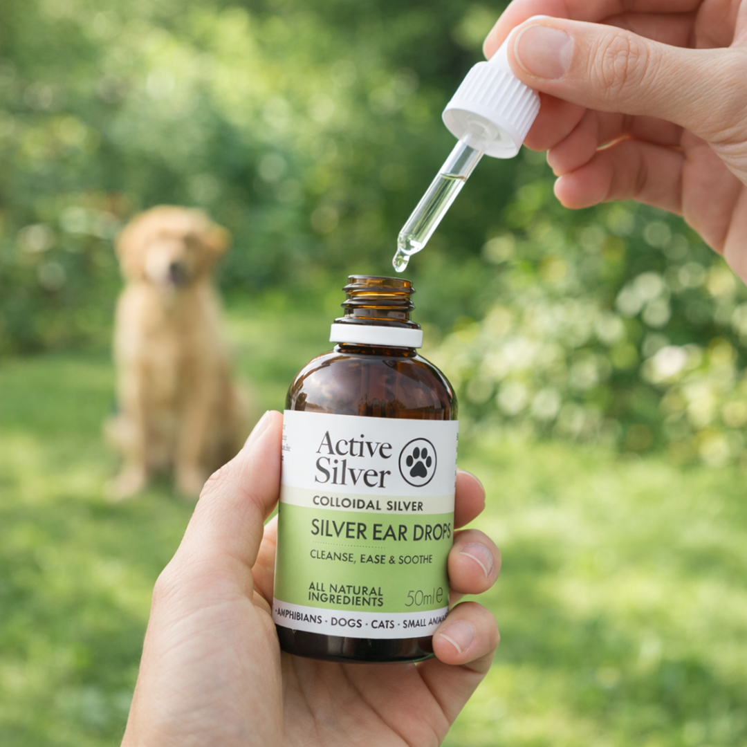 Silver Ear Drops for Pets