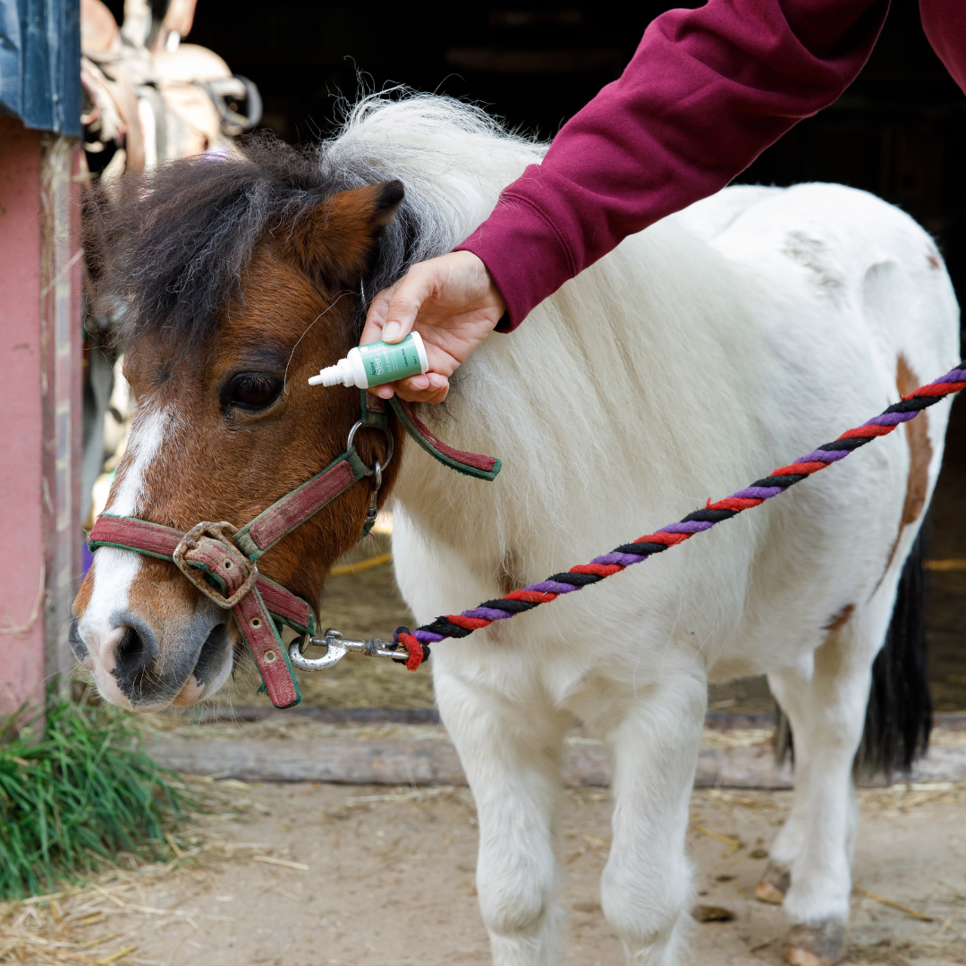 Animal Care Essential First Aid Kit