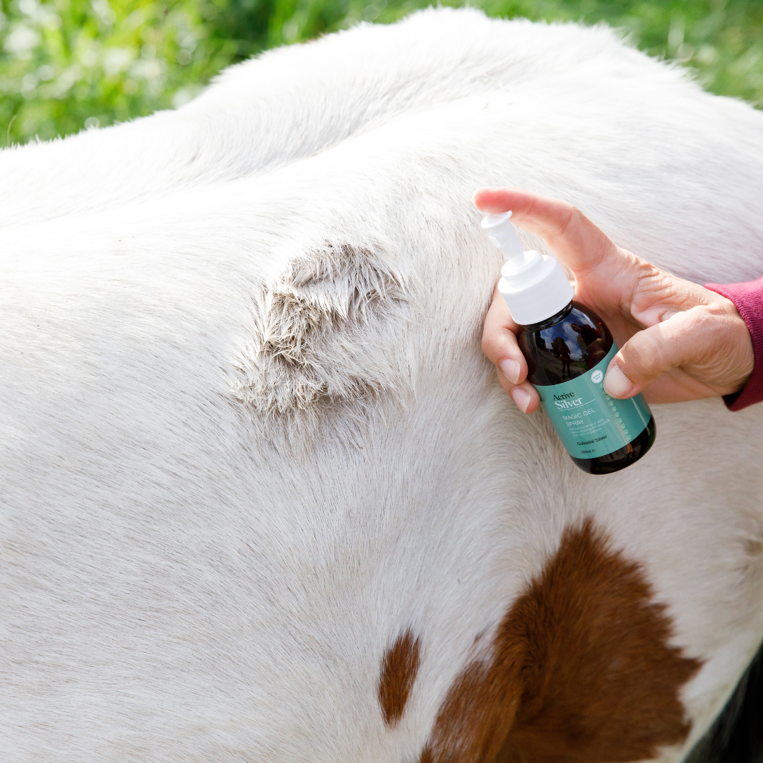 Animal Care Essential First Aid Kit