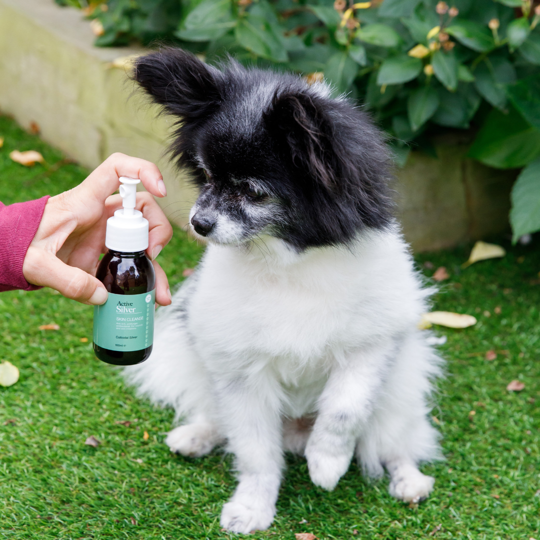Active Silver Animal Skin Wash Dog Spray