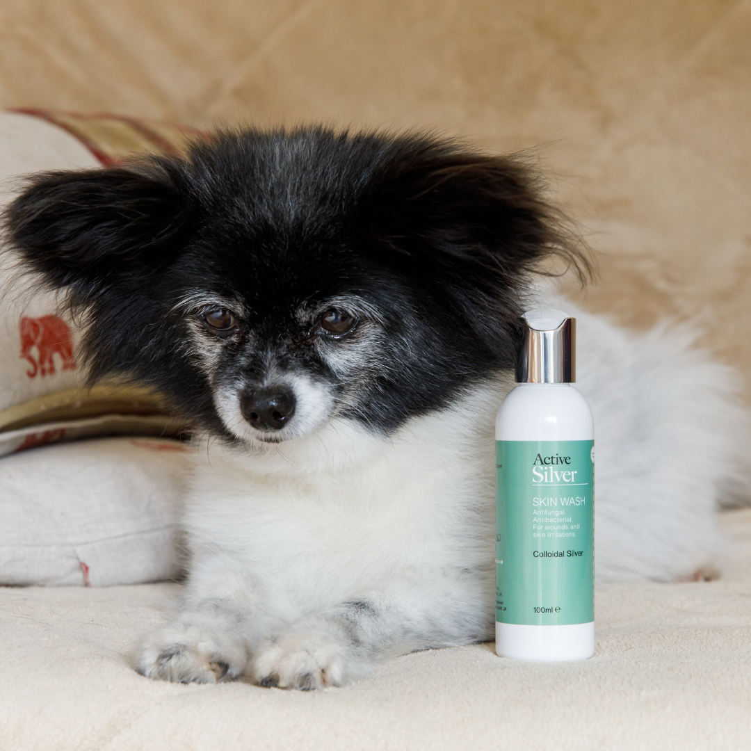 Active Silver Animal Skin Wash
