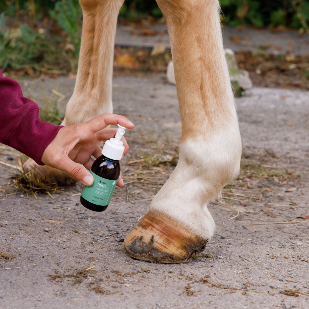 Active Silver Animal Skin Wash Horse Spray In 100ml