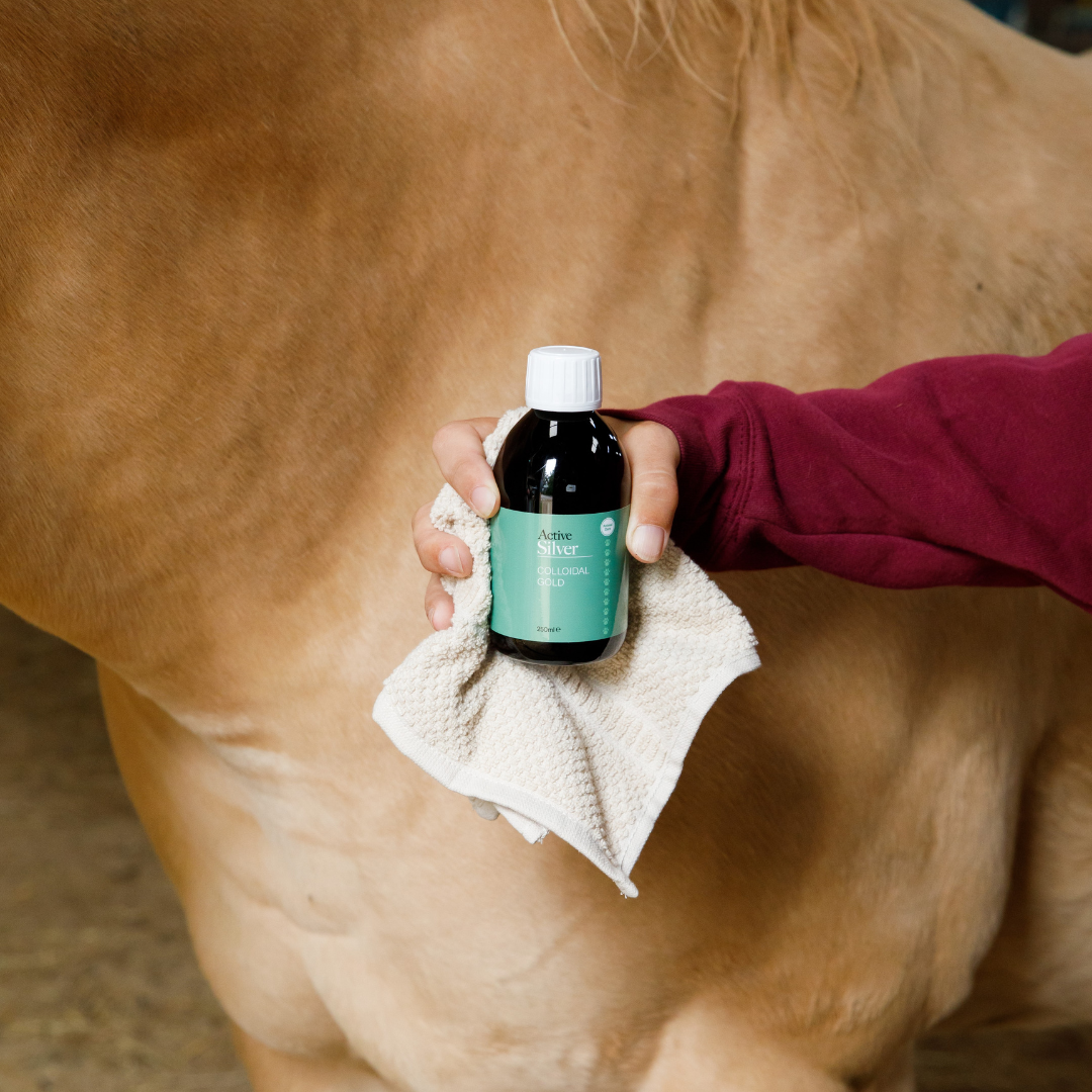 Active Silver 250ml Animal Care Colloidal Gold