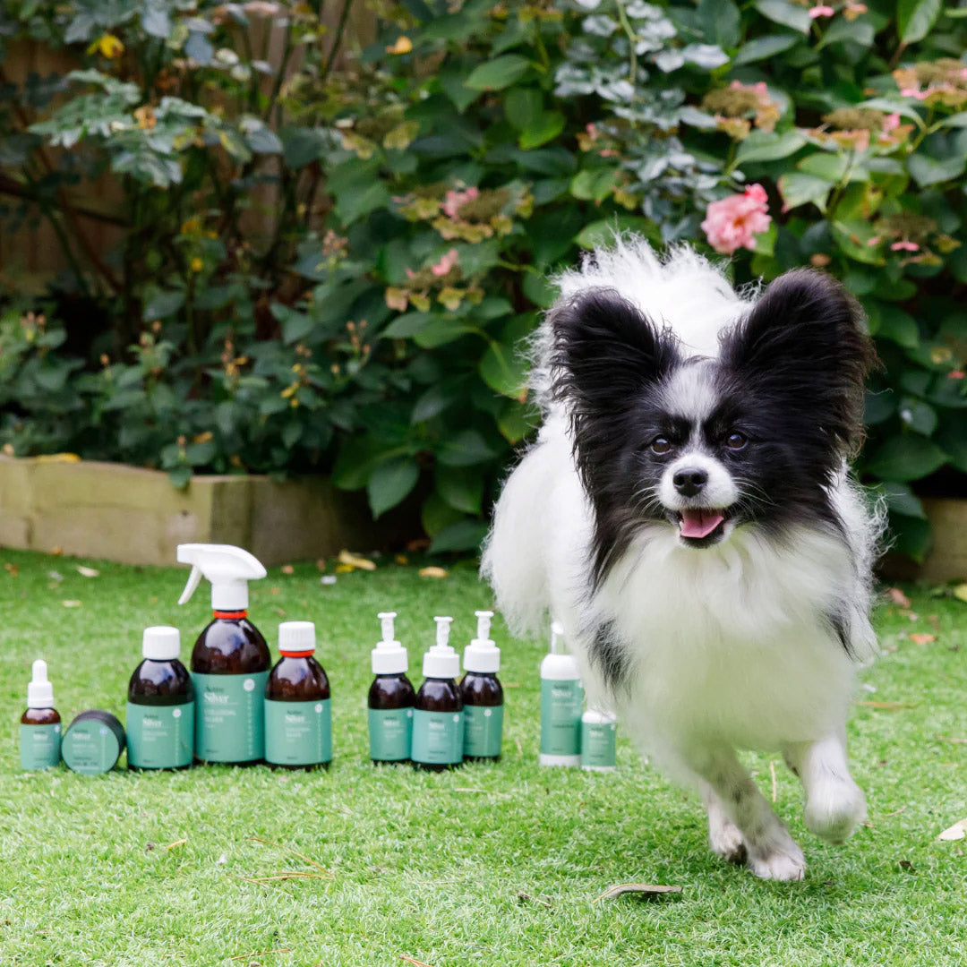 Active Silver Animal Care One of Everything Set With Dog Running