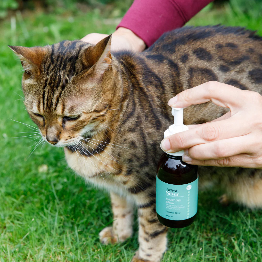 Active Silver Animal Care Wound Care Kit Cat Spray