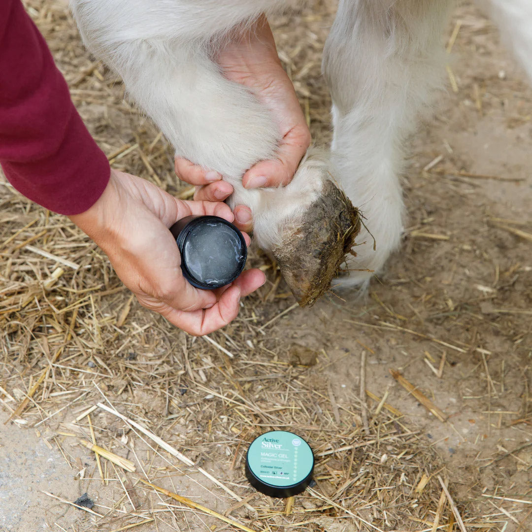 Active Silver Animal Care Wound Care Kit Goat Hoof Spray