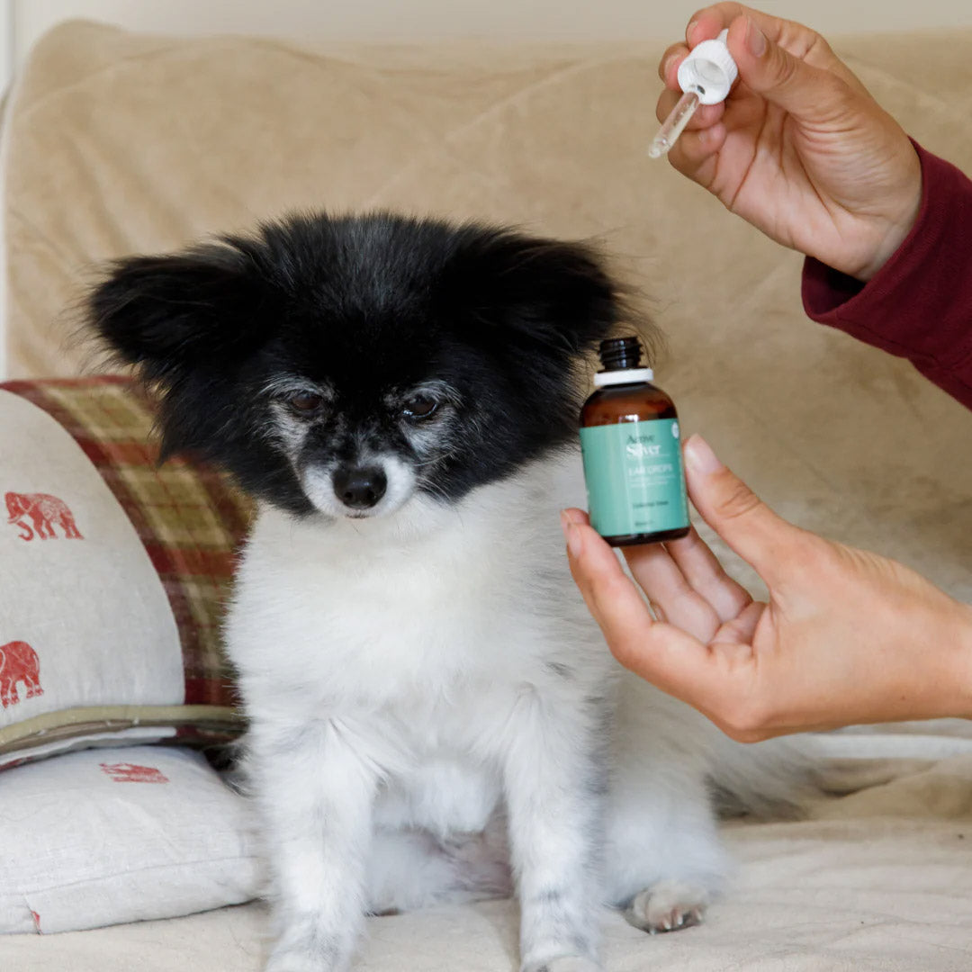 Active Silver Essential Animal Kit Dog Ear Drops