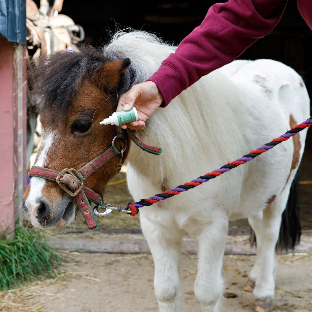 Active Silver Essential Animal Kit Horse Eye Drops