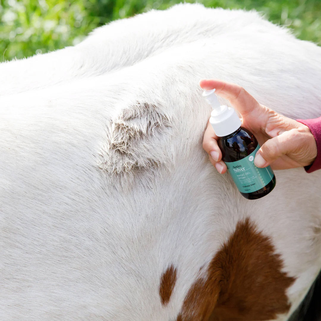 Active Silver Essential Animal Kit Pony Skin Spray
