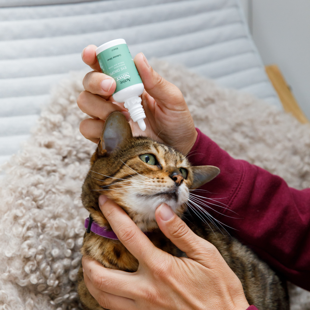 Active Silver Animal Eye Drops For Cats