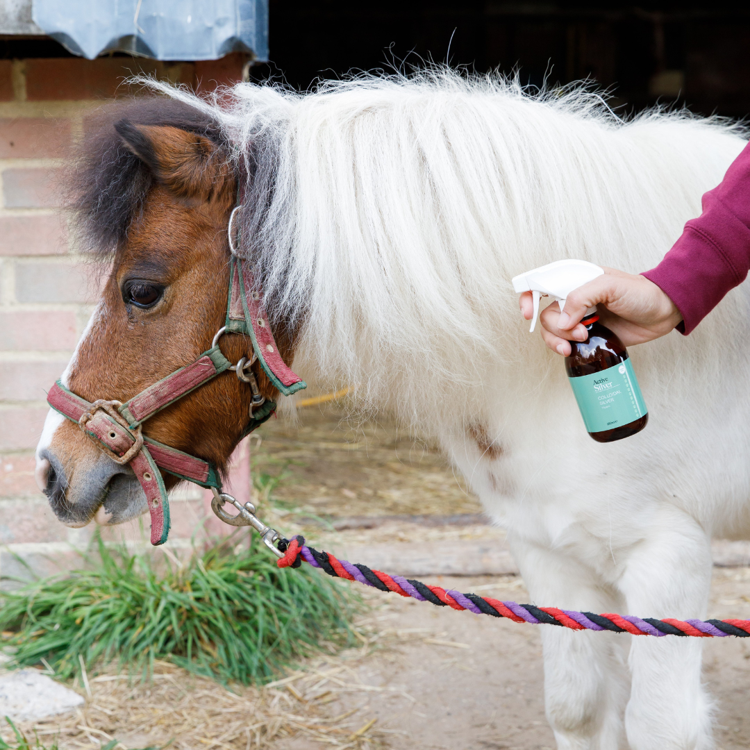 Active Silver Animal Care Colloidal Silver In 500ml Bottle