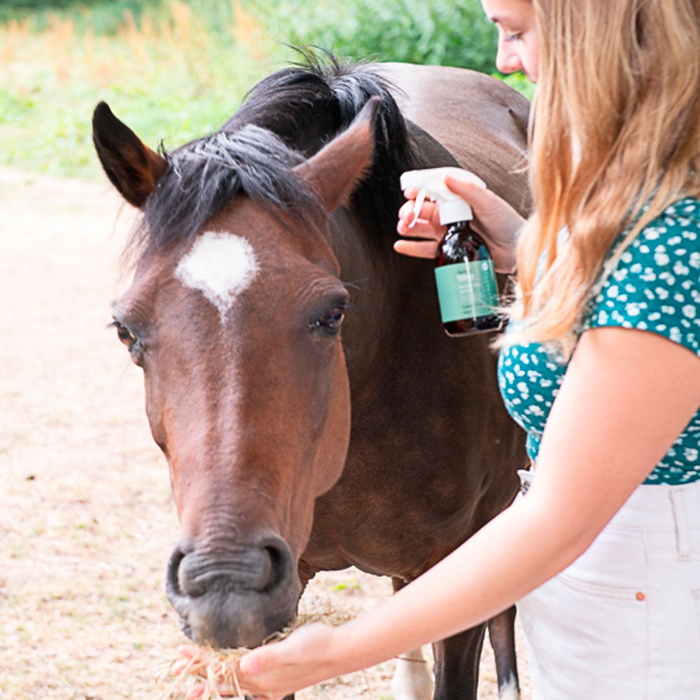 Active Silver Animal Care Magic Gel For Horses