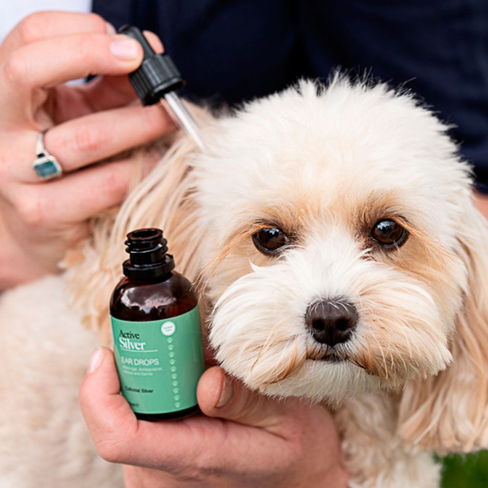 Active Silver Animal Care Ear Drops 50ml