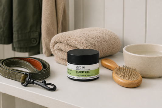 Can You Use Active Silver Products On Pets?