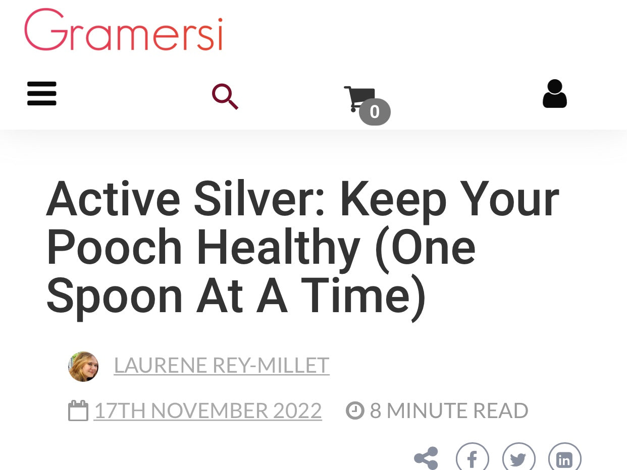 Keep Your Pooch Healthy (One Spoon at a Time) - Gramersi