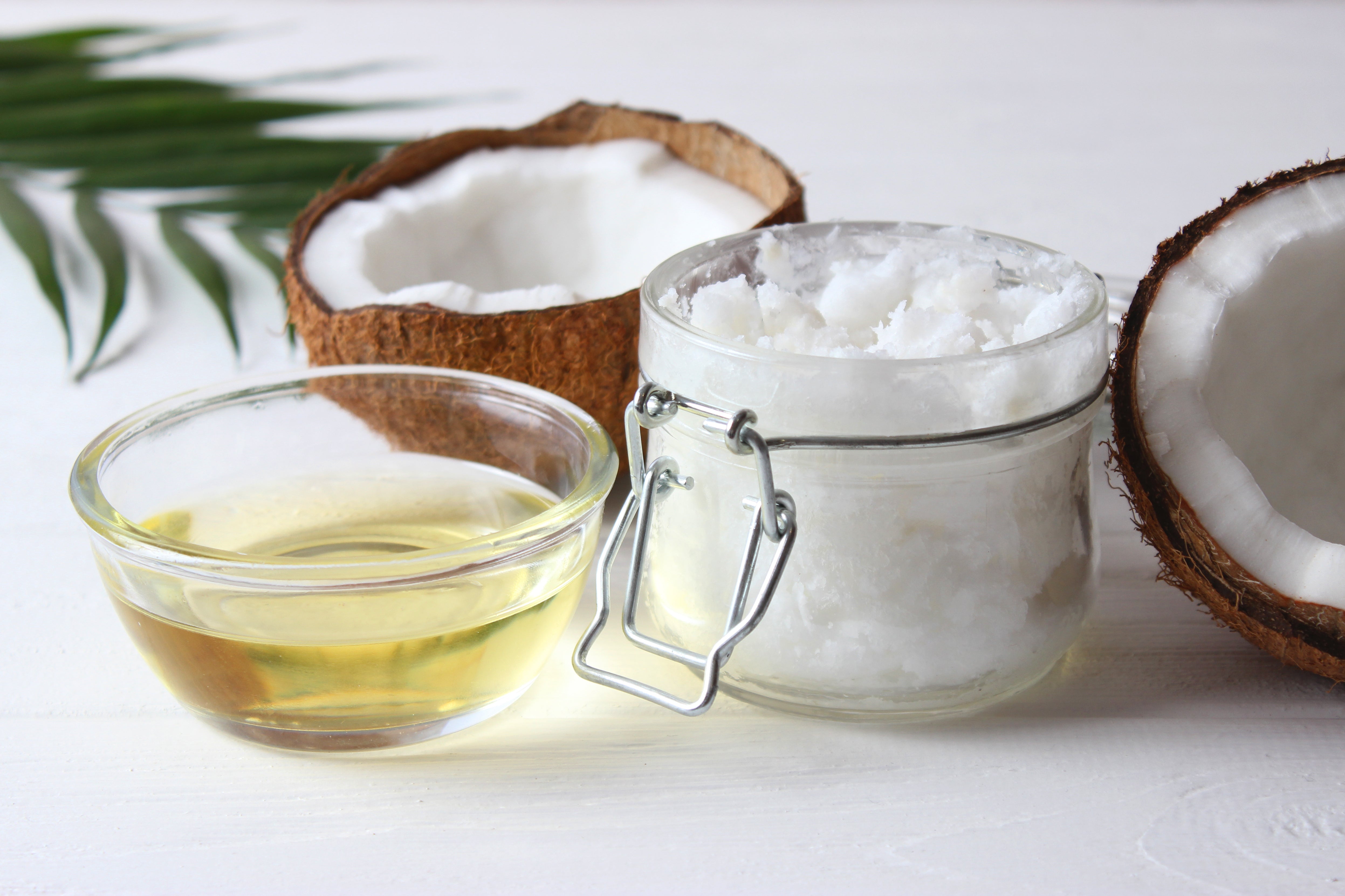 Coconut Oil | Colloidal Silver | Active Silver