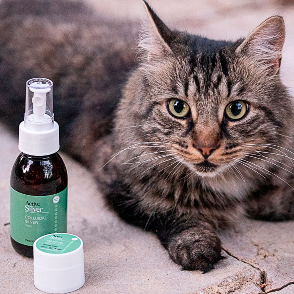 Active Silver | Animal Care Colloidal Silver Product Next To Fluffy Cat