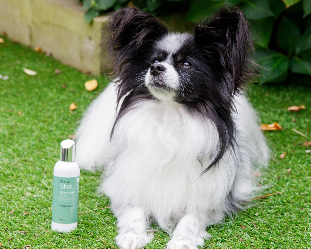 Animal Cleansers & Washes