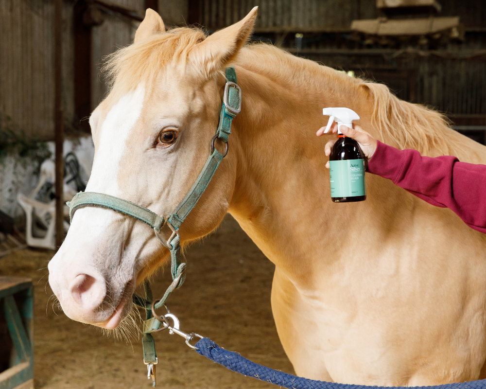 Colloidal Silver and Colloidal Gold For Pets