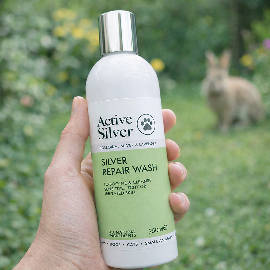 Silver Skin Wash for Pets