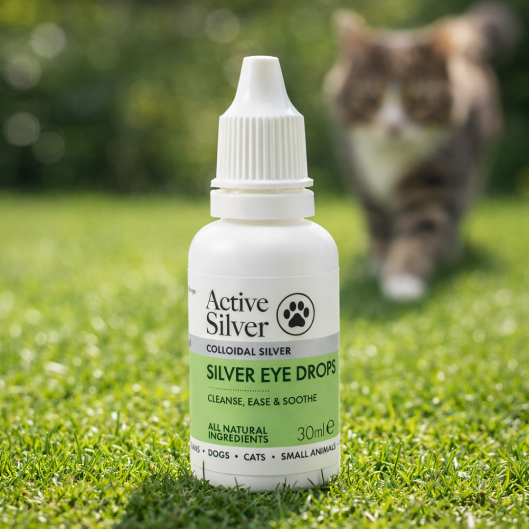Silver Eye Drops for Pets