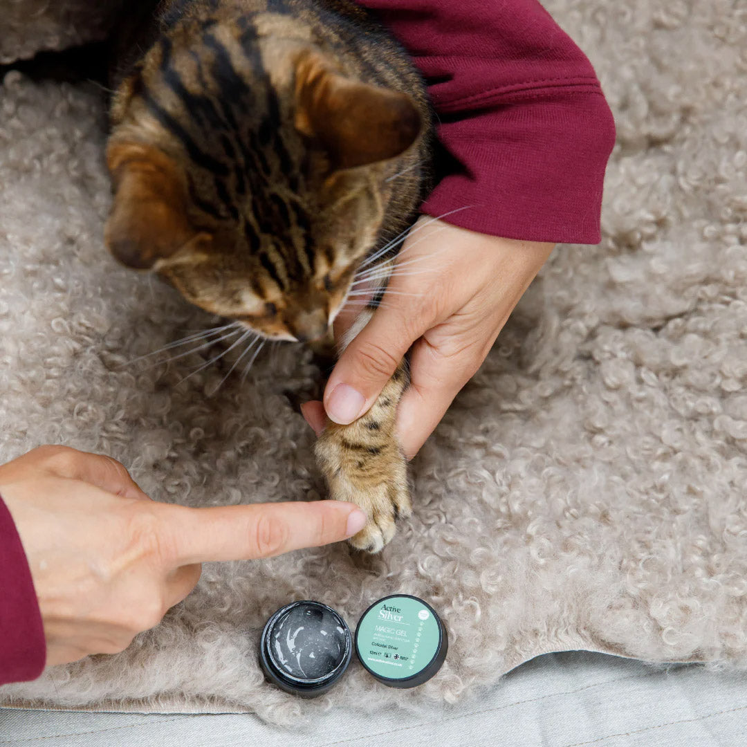 Active Silver Animal Magic Gel 30ml Application To Cat's Paw