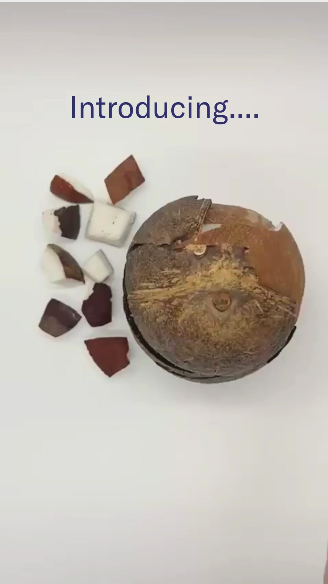 Limited Edition Coconut Body Butter