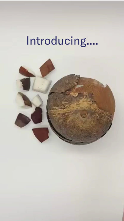 Limited Edition Coconut Body Butter